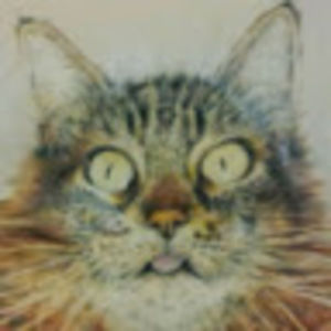 Meet your Posher, Lynn